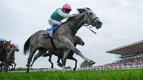 racing tips for cheltenham|Saturday tips: Field Of Gold fancied for Solario success.